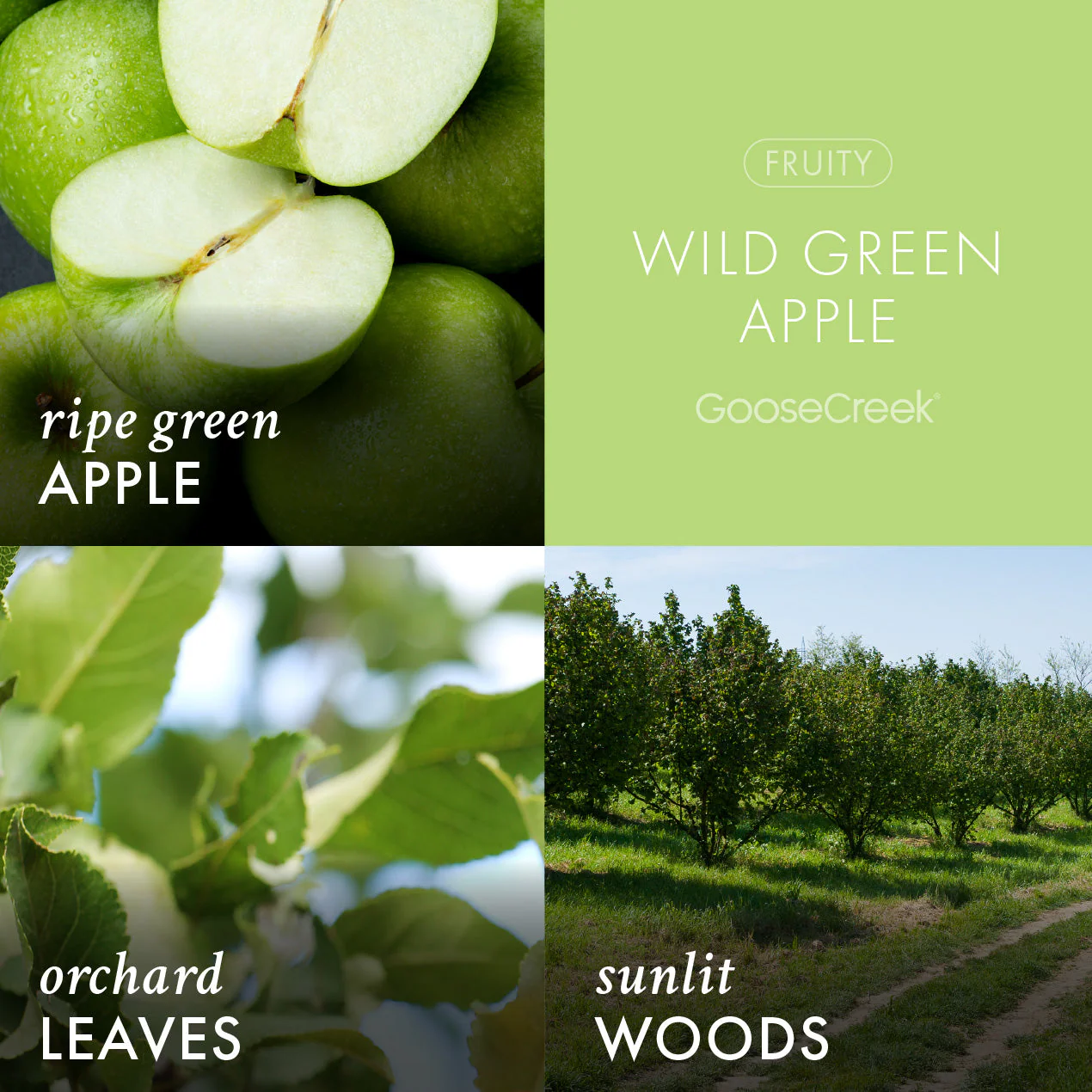 Odor Eliminating Wild Green Apple Wax Melt
