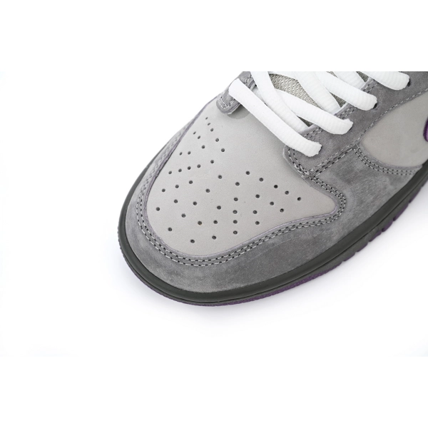 Nike SB Dunk Low Purple Pigeon 304292-051