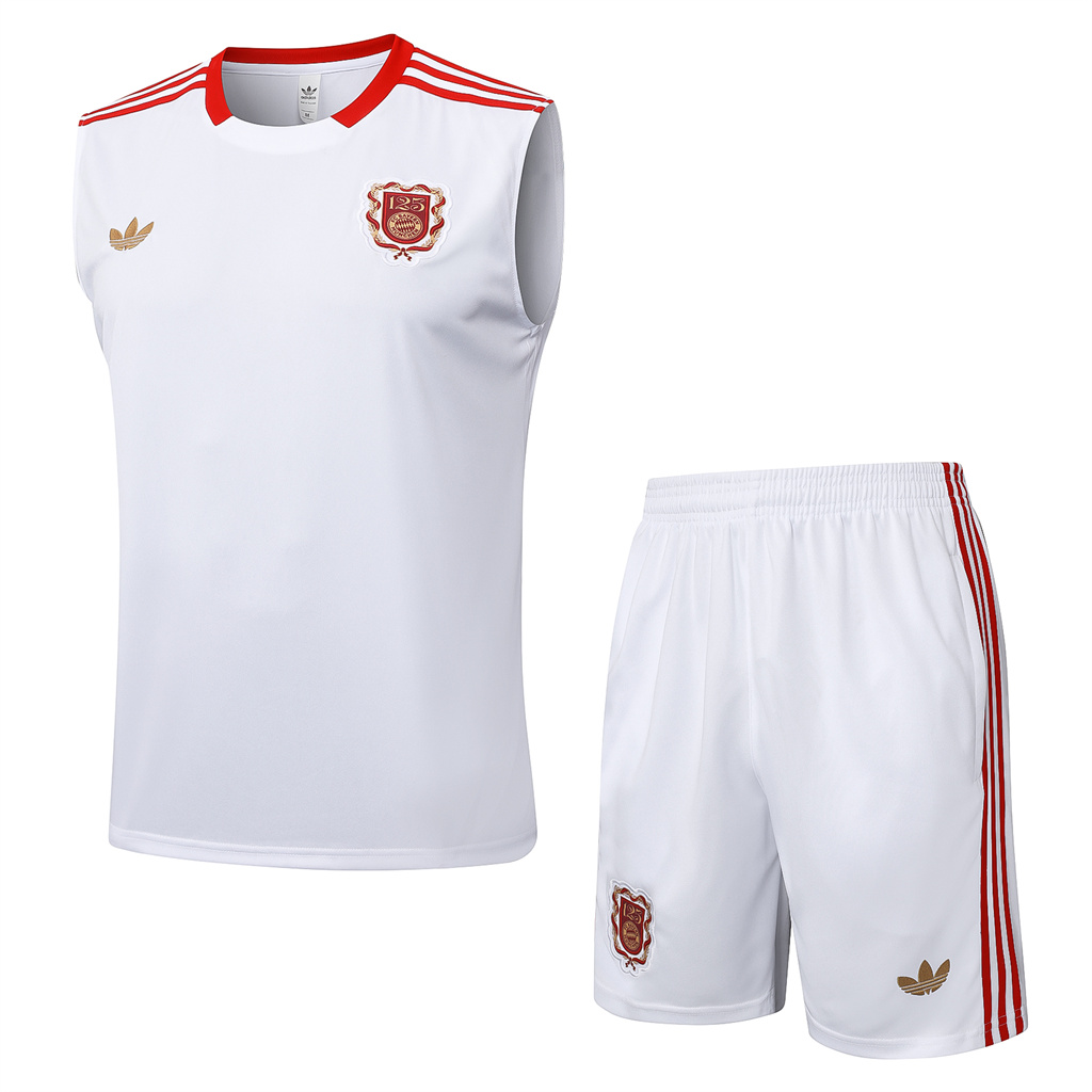 Bayern Munich Training Jersey 25/26