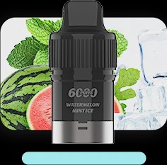 Iget Bar 6000 Plus  Pod