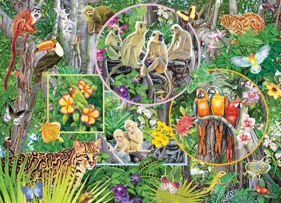 Rainforest Magic (Family) | Family Pieces 350