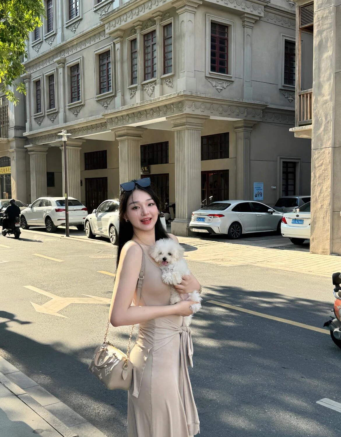 Louis New Chain Pillow Bag