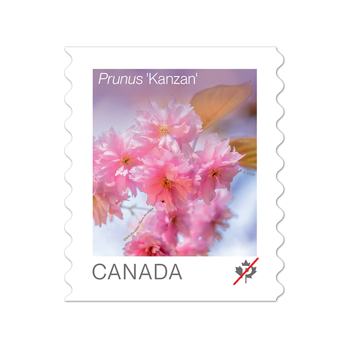 Cherry Blossoms (2026): 200Pcs - coil of 50 Permanent™ stamps