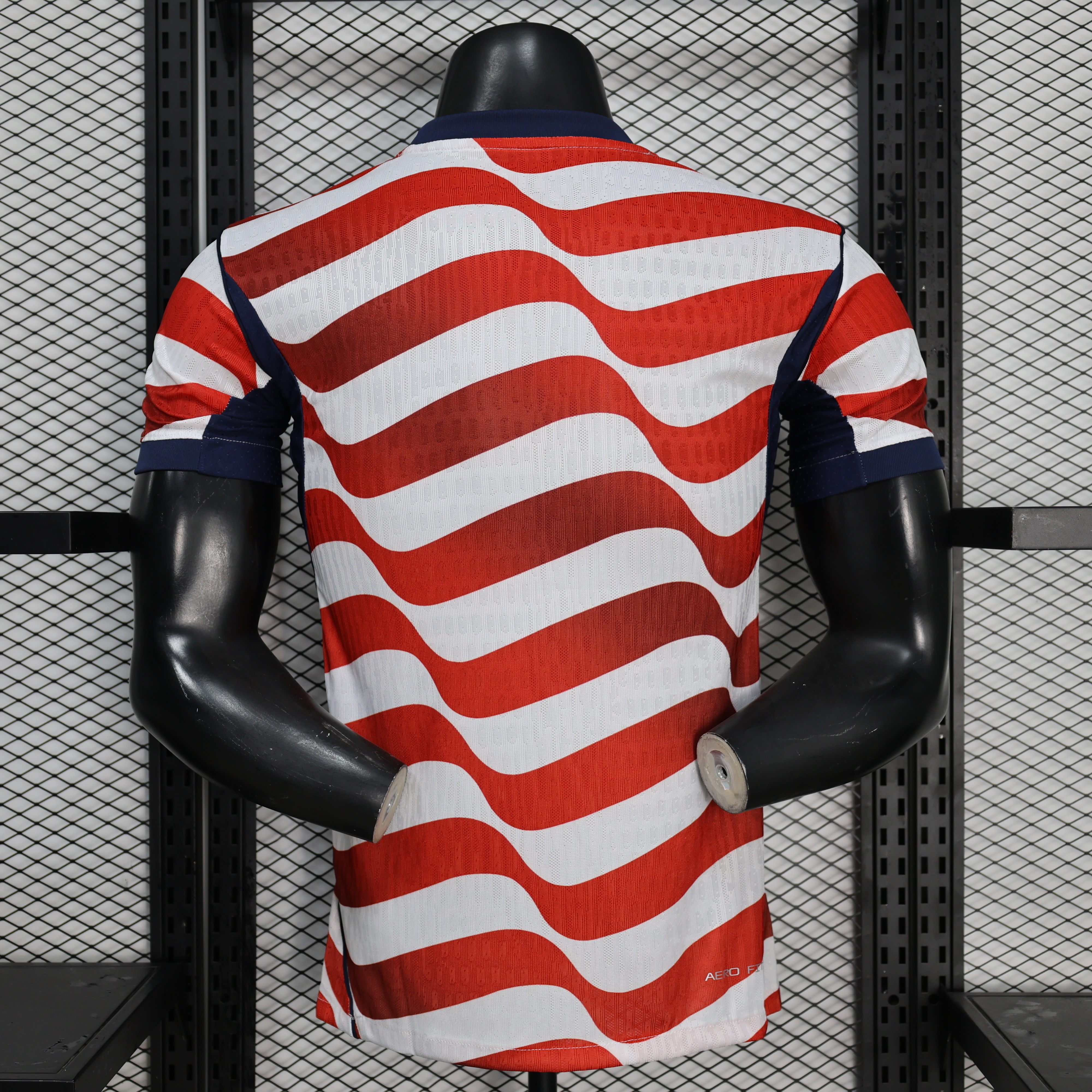 2026 USA Home Player Version