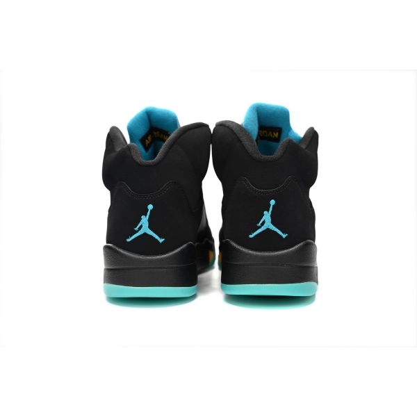 Air Jordan 5 