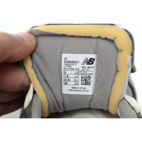 M2002RDY New Balance 2002R Misty Rain And Purple