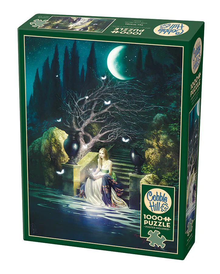 Ten Wishes | 1000 Piece