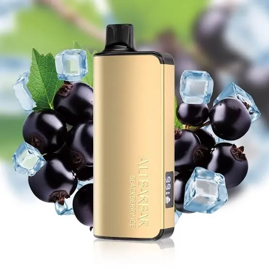 ALIBARBAR NIGOT 9000 Puffs - Blackberry Ice【3-7 days】