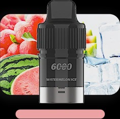 Iget Bar 6000 Plus  Pod