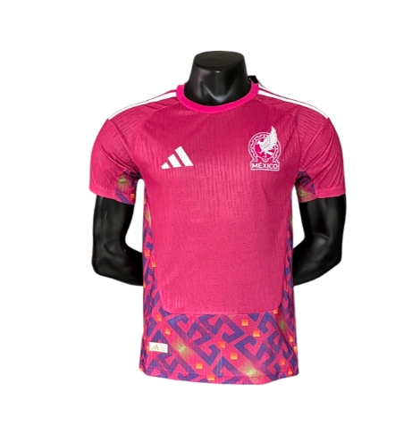 Player version 2026 Germany Training Jersey