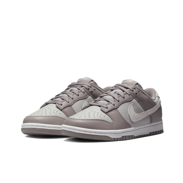 Nike Dunk Low Light Grey FD0792-001