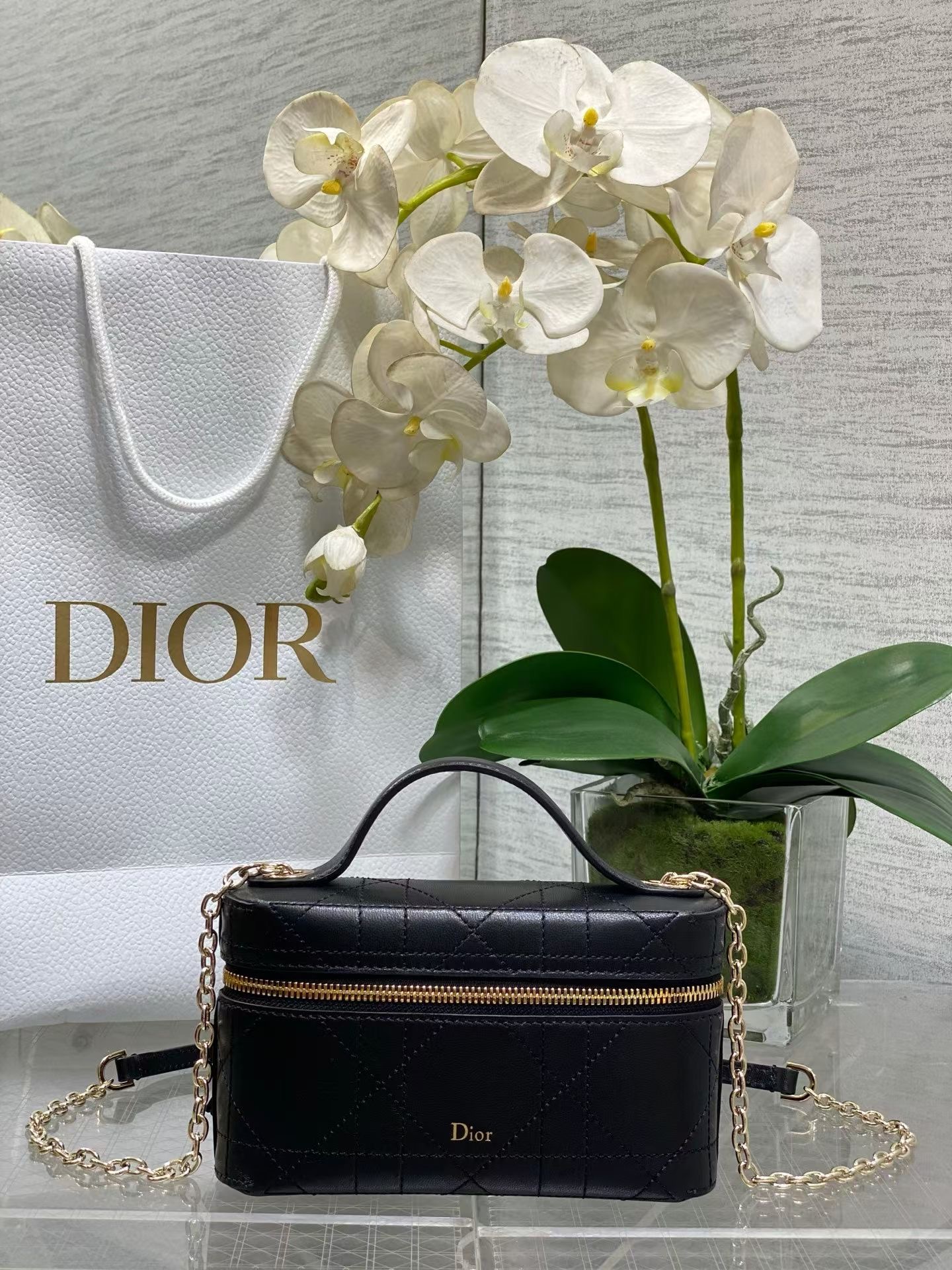 CD New   handbag