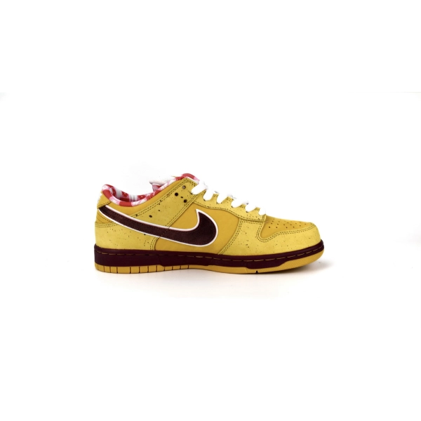 Concepts x NK SB Dunk Low 