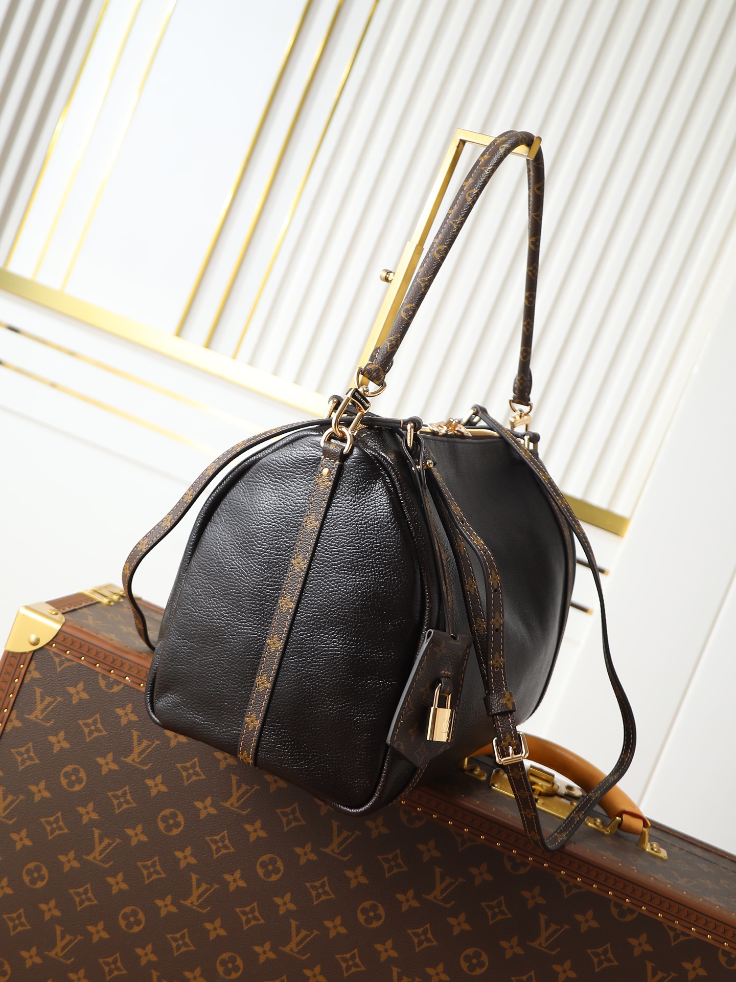 Louis New Handbag