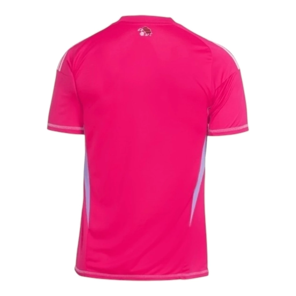 Flamengo 25-26 goalkeeper jersey pink