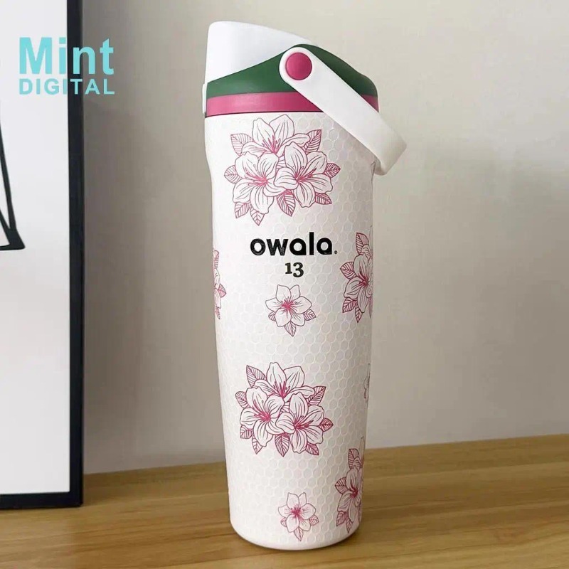 Owala 30oz Insulated Stainless Steel Water Bottle with Handle