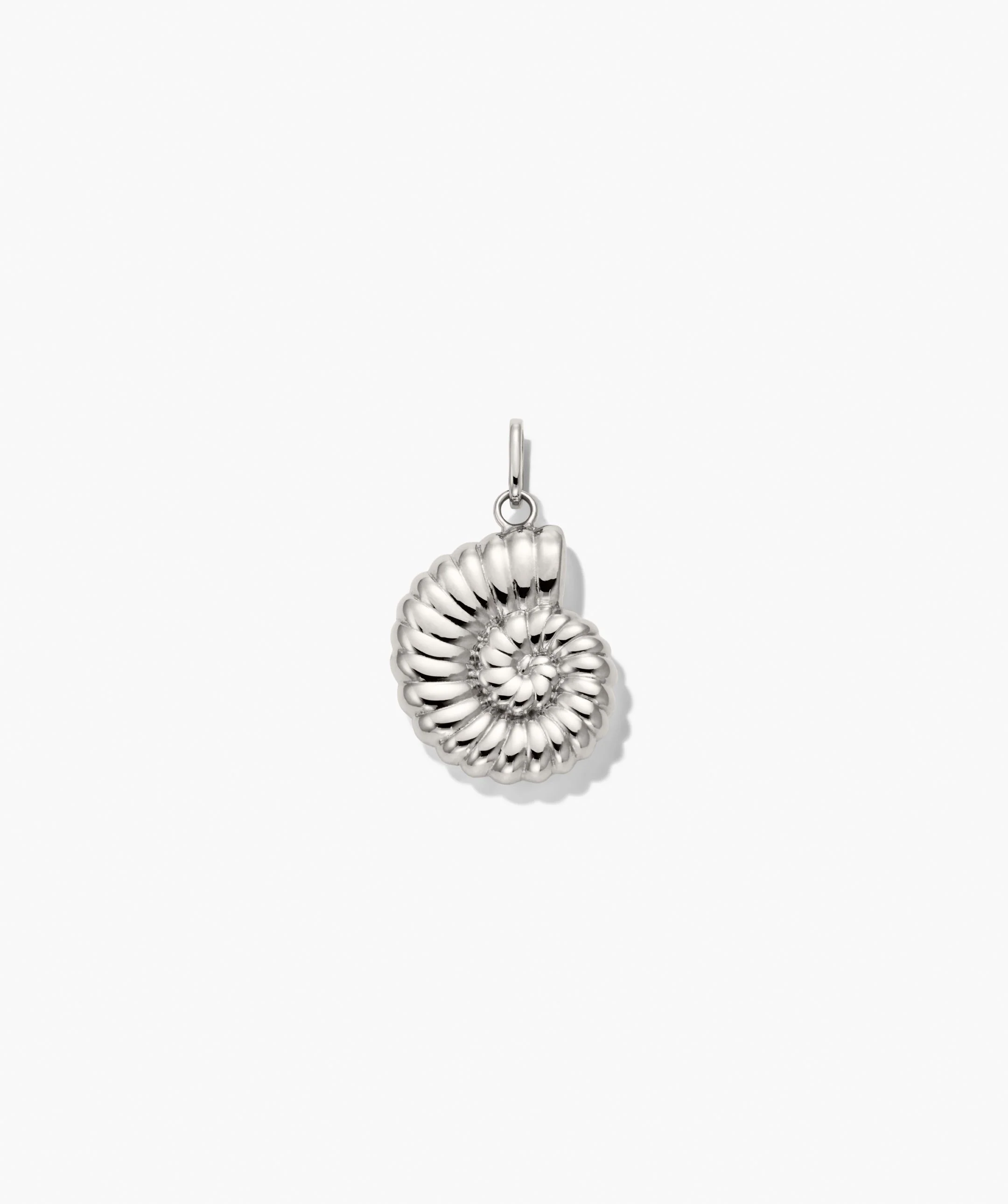 Ammonite Charm