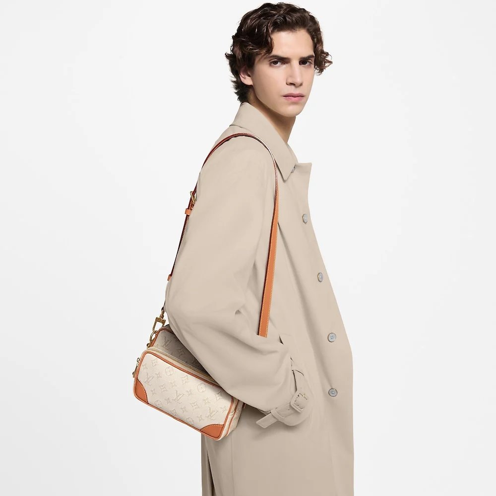 Louis New Medium handbag