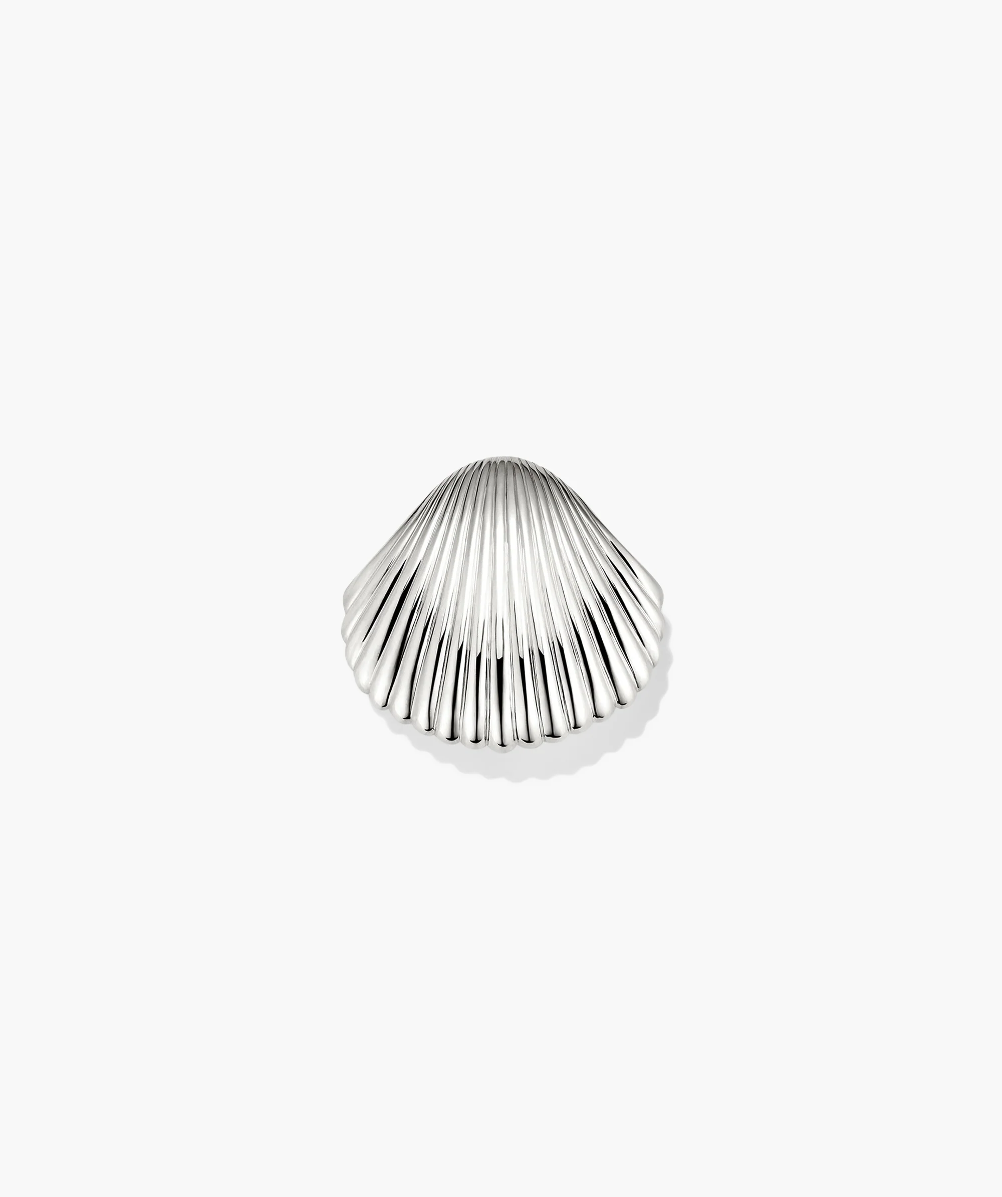 Amelia Seashell Brooch