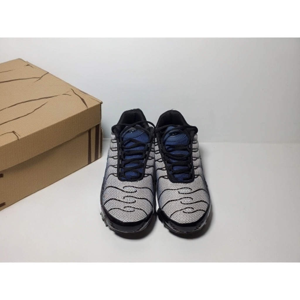 Nike Air Max Plus Midnight Navy(Nike Tn)