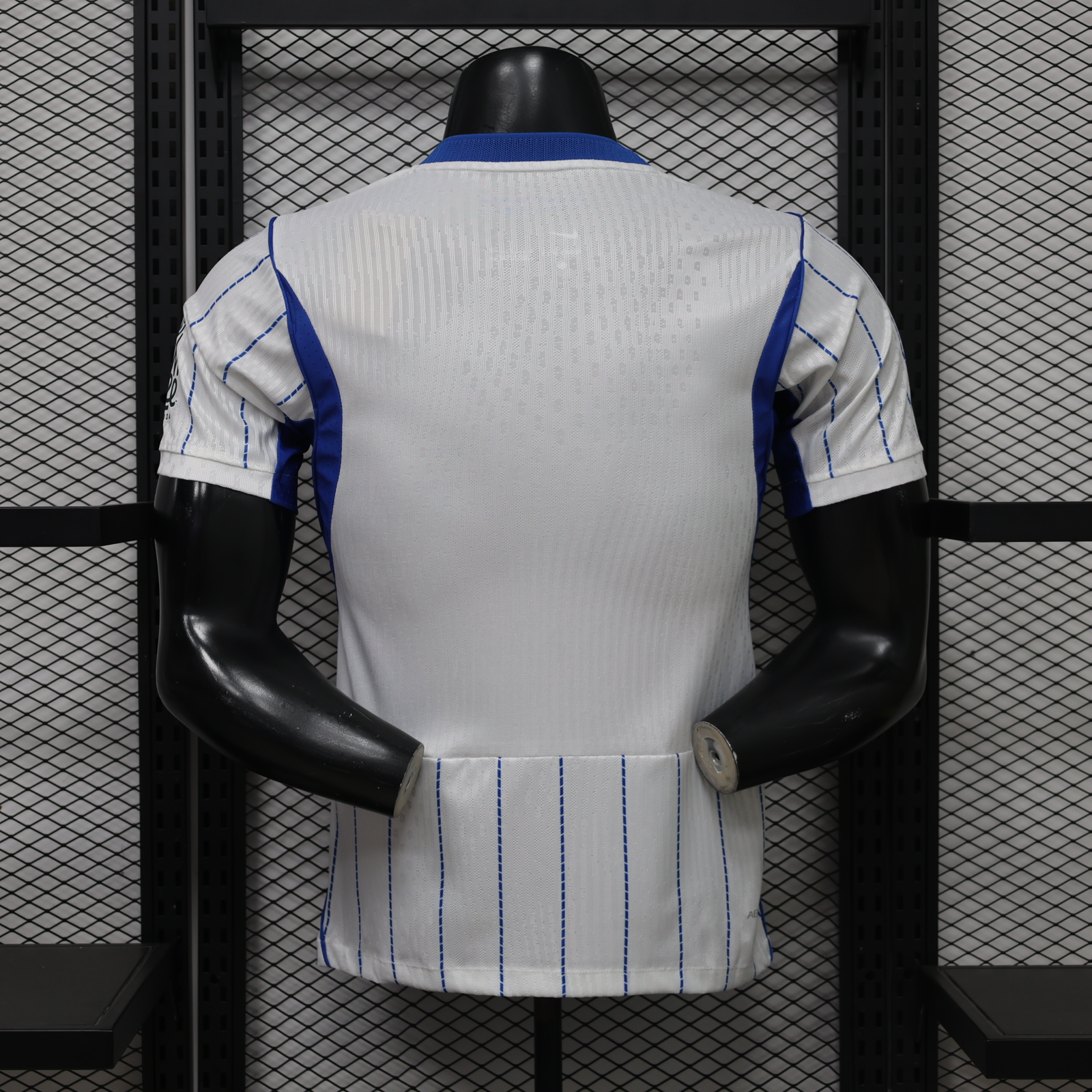 Brighton & Hove Albion Away Jersey Player Version 26/27