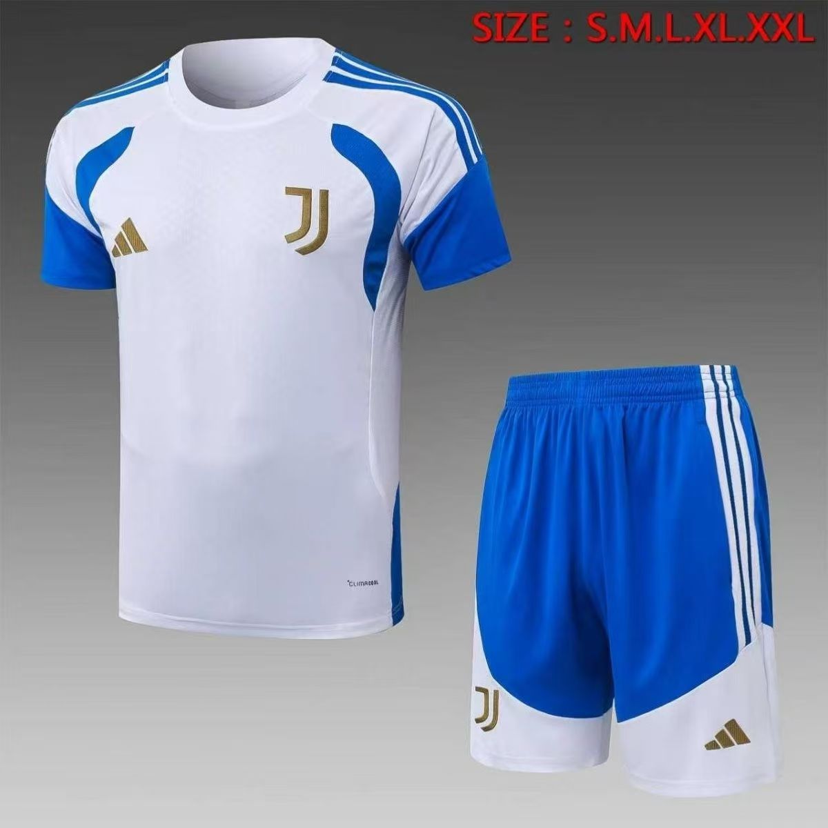 Juventus Training Short Sleeve Suit 26/27