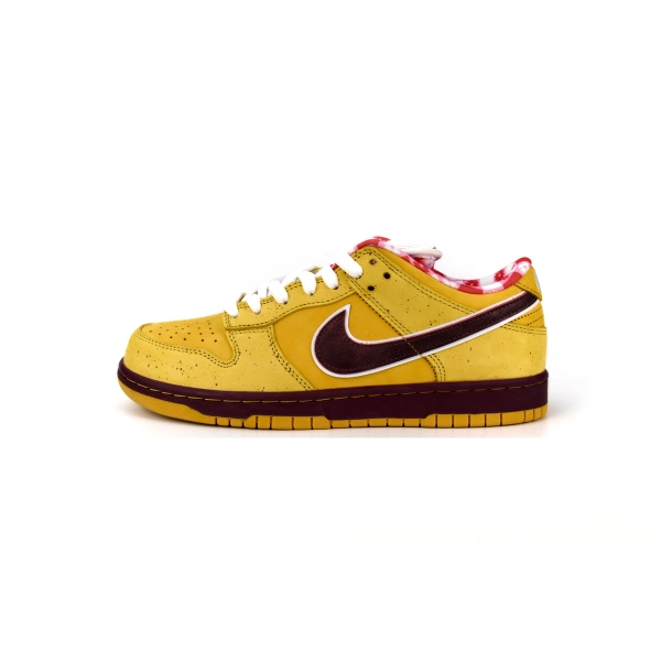 Concepts x NK SB Dunk Low 