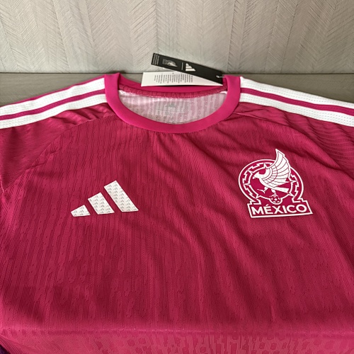 Player version 2026 Germany Training Jersey