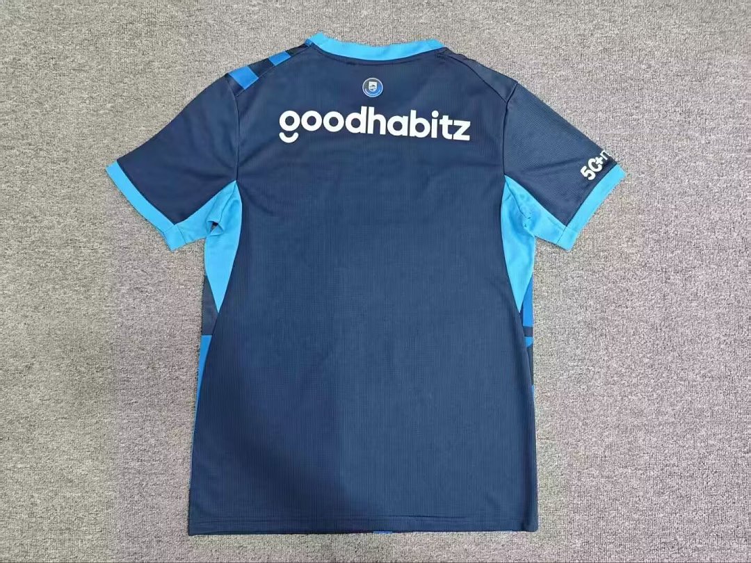 PSV Eindhoven Third Jersey Fan Version 26/27