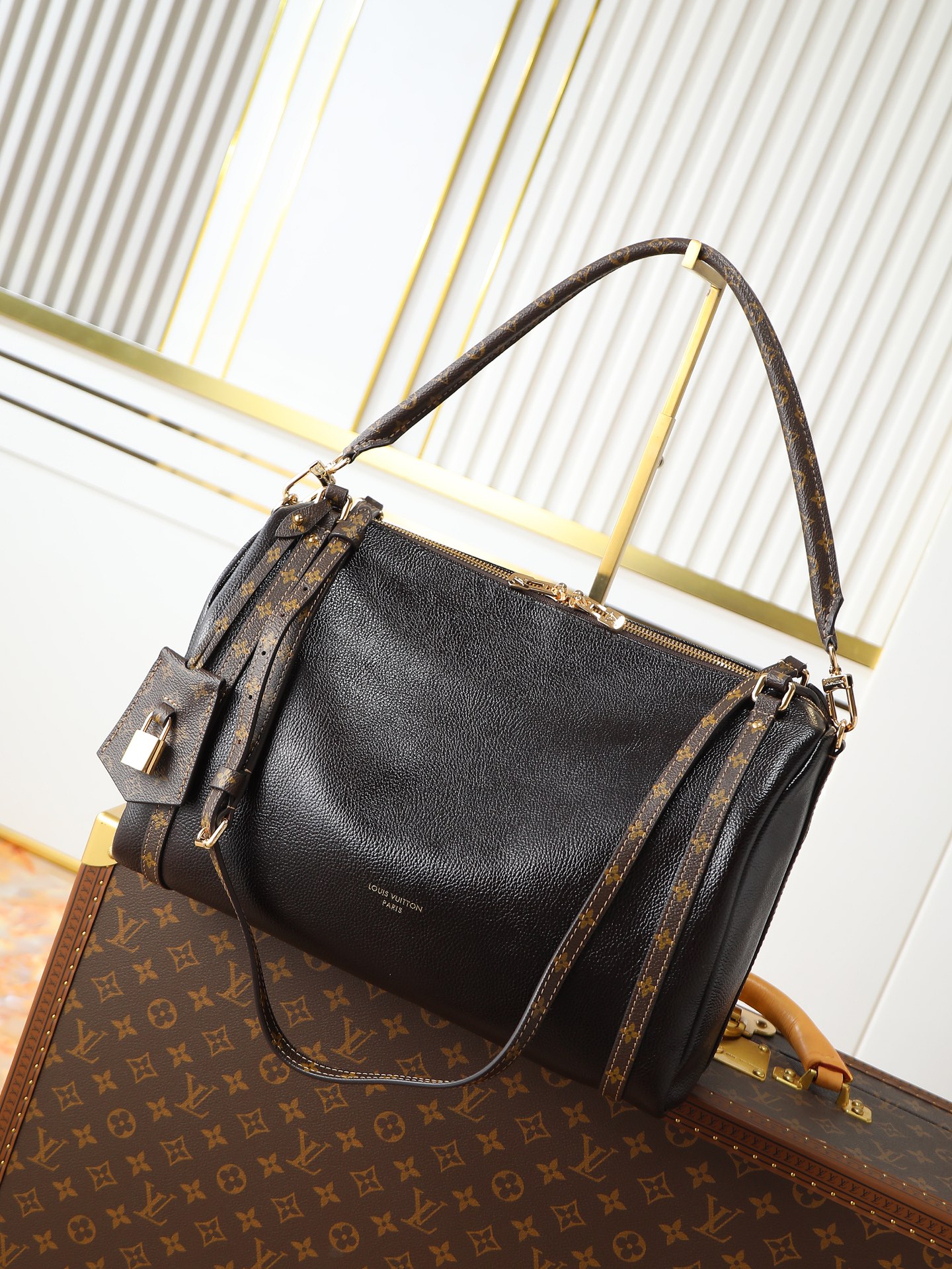 Louis New Handbag