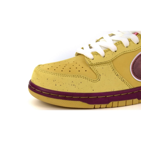 Concepts x NK SB Dunk Low 
