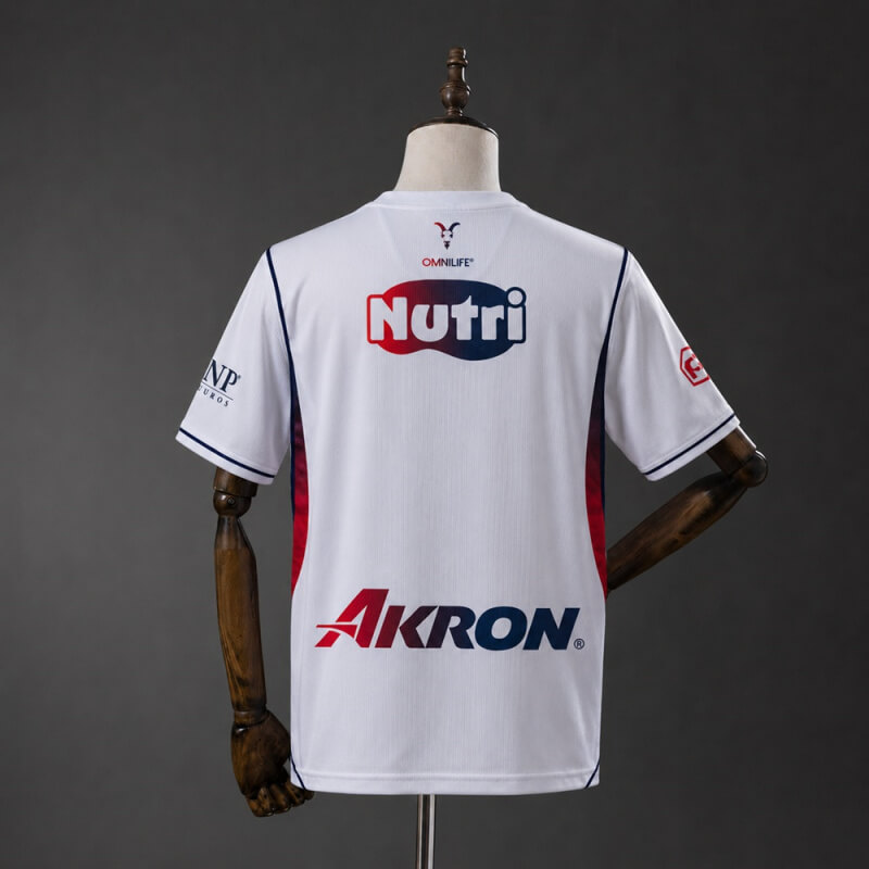 Chivas de Guadalajara 26/27 Away Fan Jersey