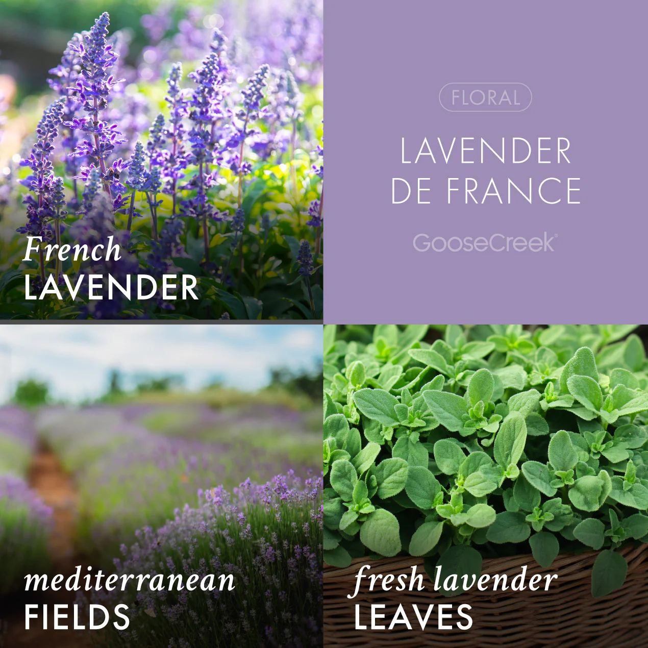 Lavender de France Wax Melt
