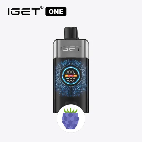 Iget One