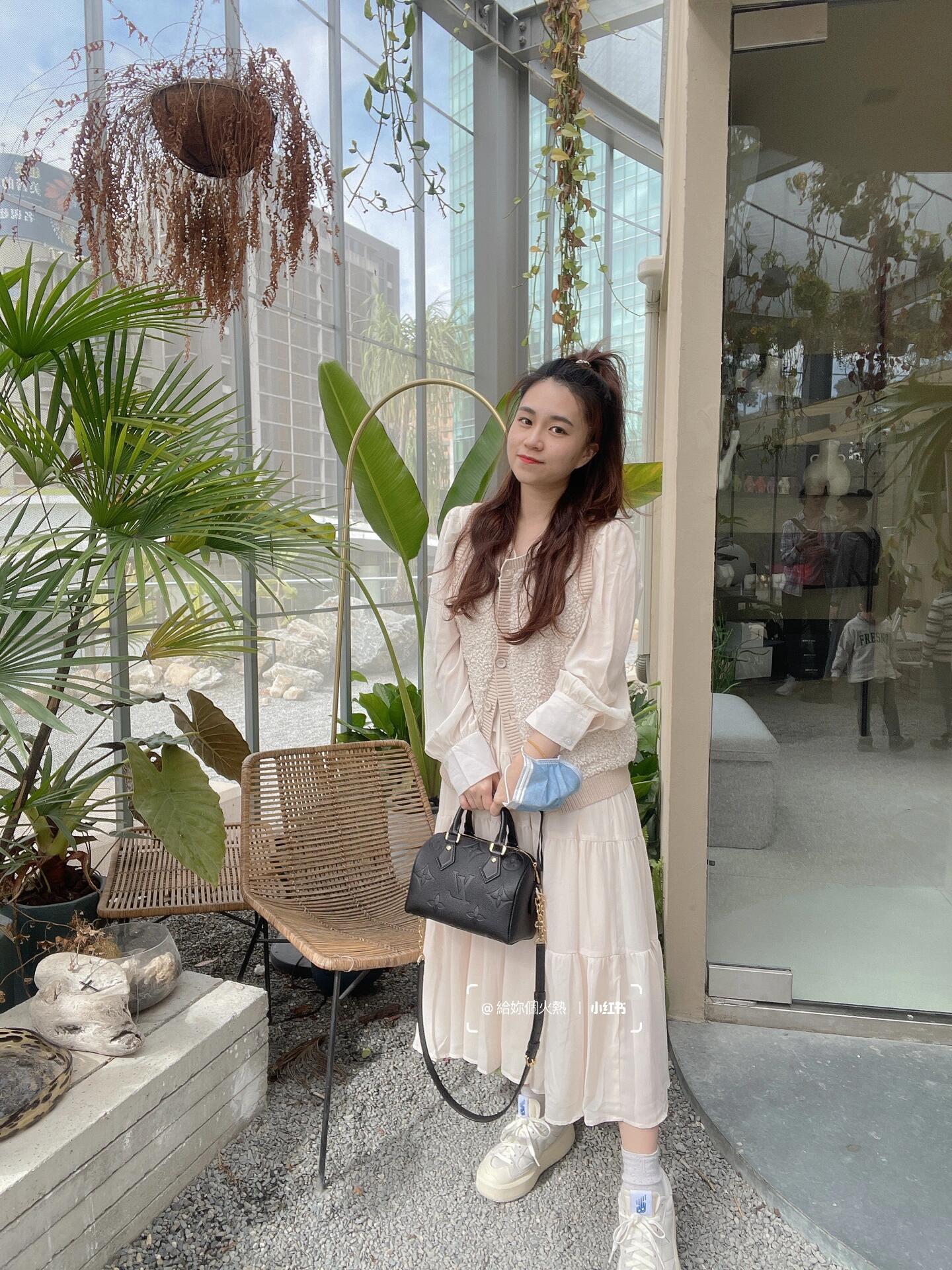 Louis New Chain Pillow Bag