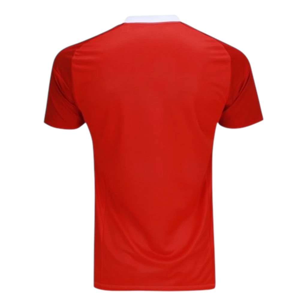 Flamengo 25-26 goalkeeper jersey in red