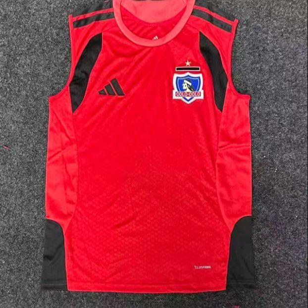 Colo Colo 26/27 Training uniform, jersey, short sleeved shirt, casual top