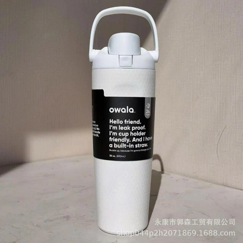 Owala 30oz Insulated Stainless Steel Water Bottle with Handle