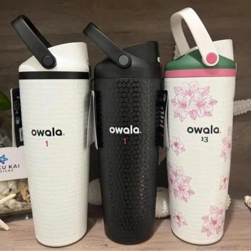 Owala 30oz Insulated Stainless Steel Water Bottle with Handle