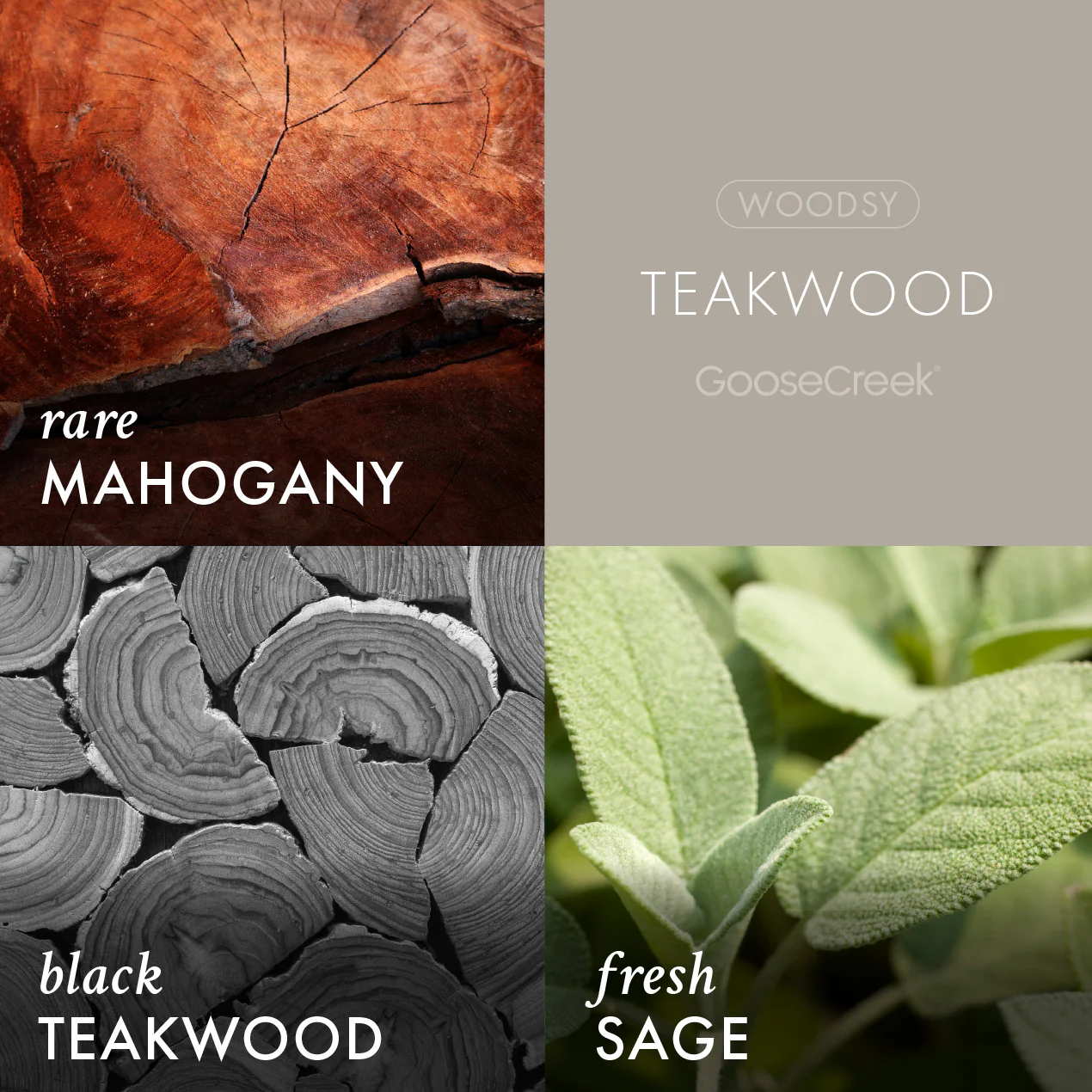 Odor Eliminating Teakwood Plug-in Refill