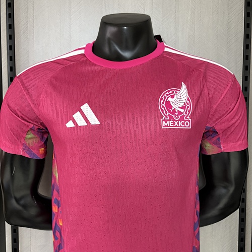 Player version 2026 Germany Training Jersey