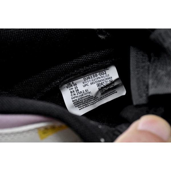 Nike Dunk Low SB AE86 DJ6188-002