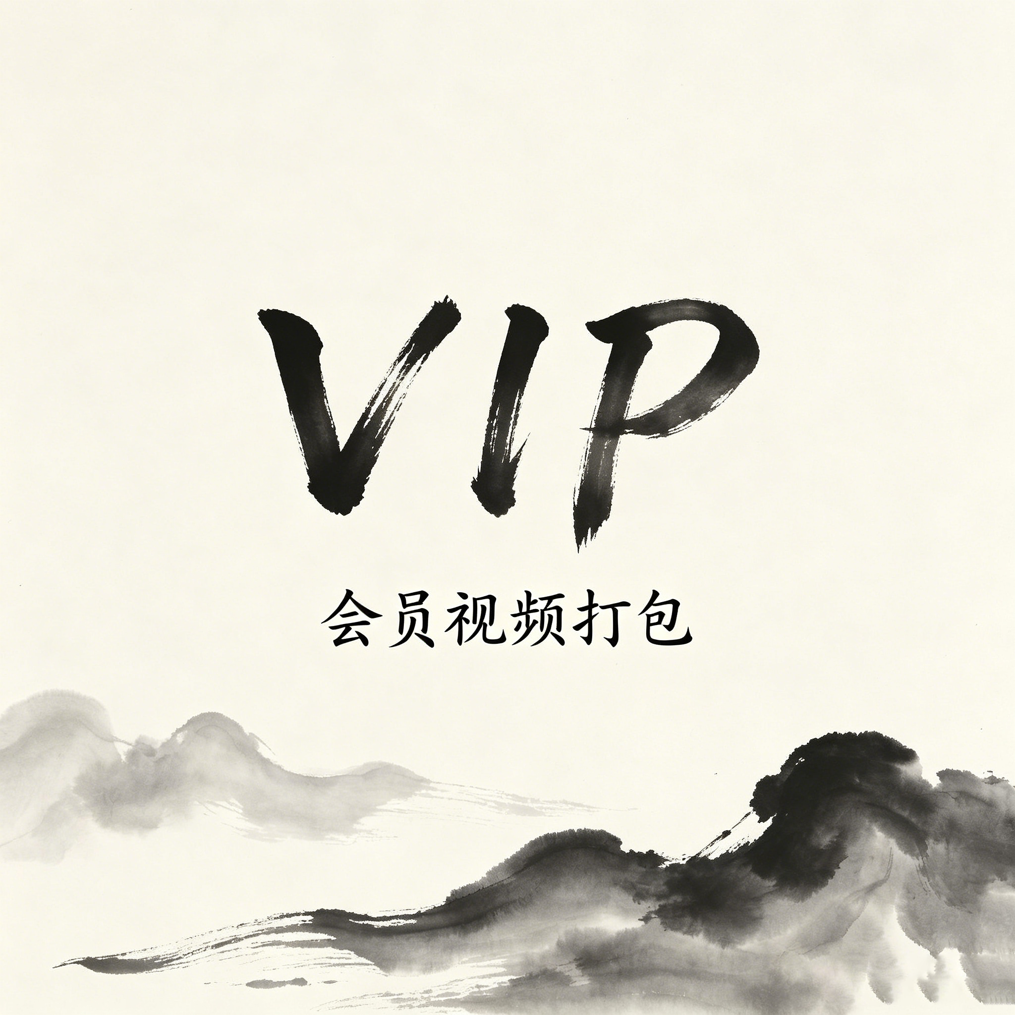 VIP视频打包