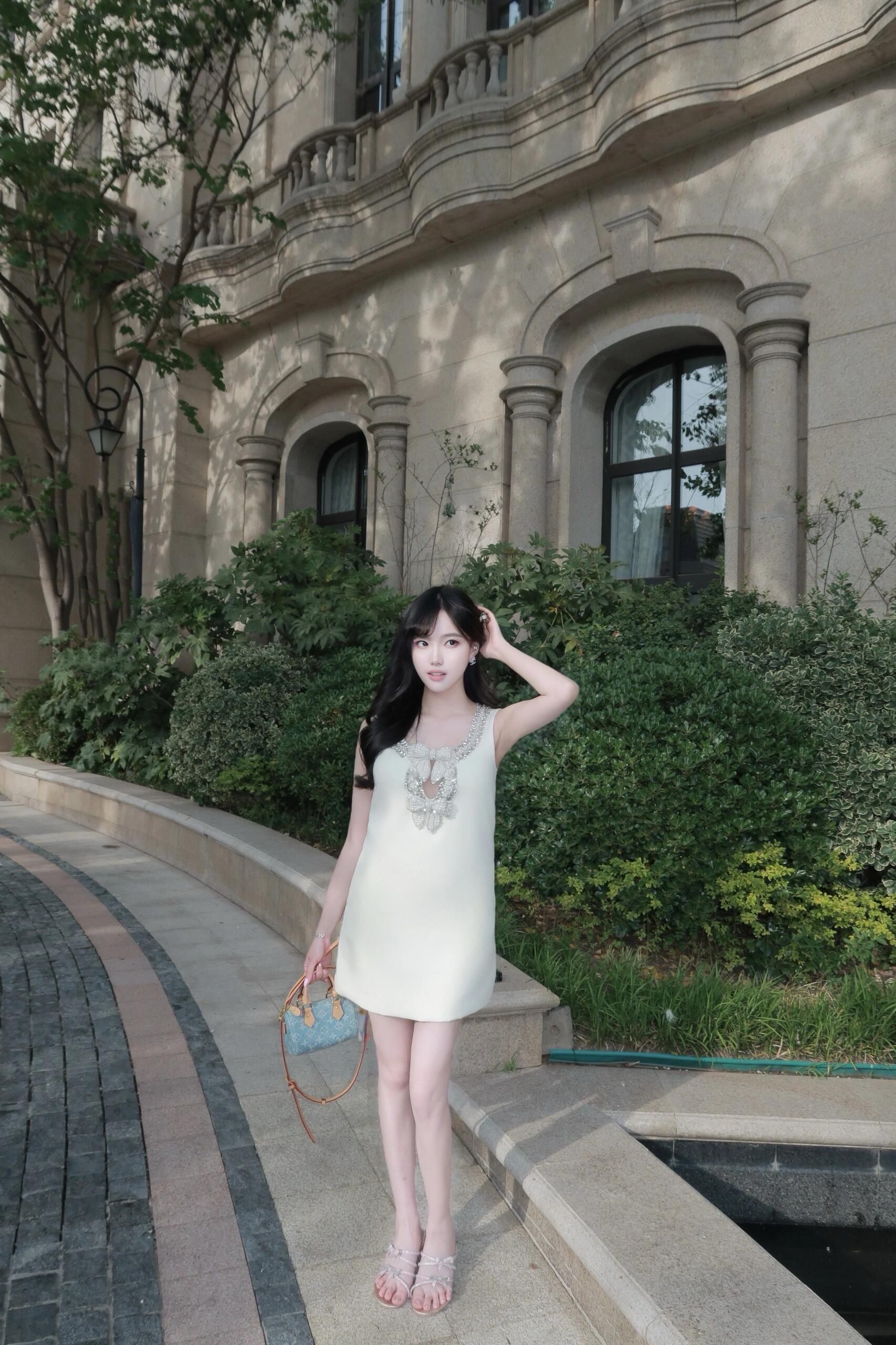 Louis New pillowcase