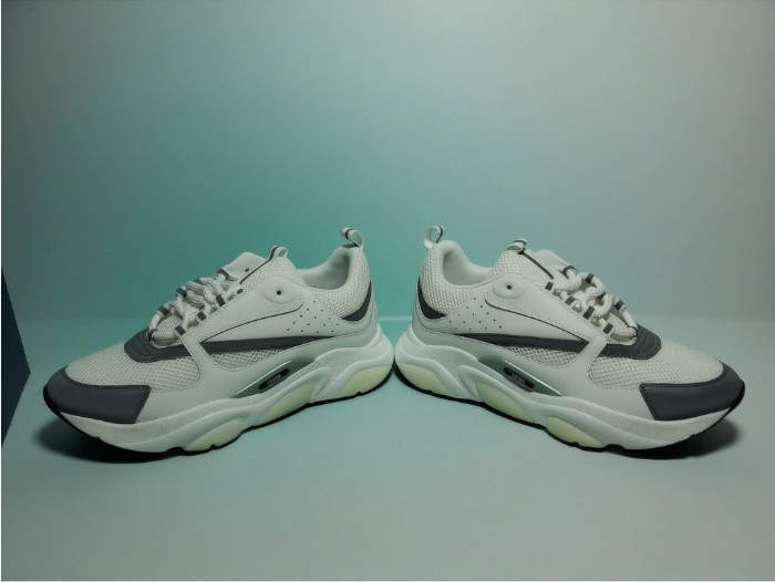 Dior B22 White Grey