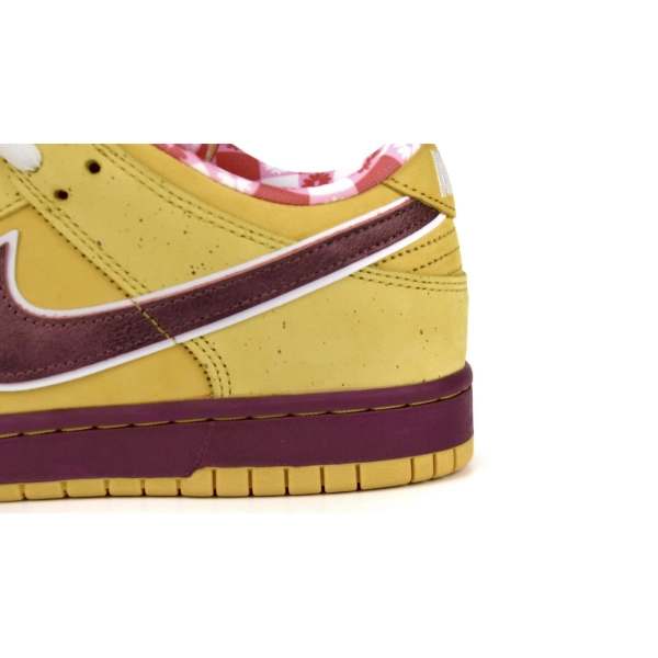 Concepts x NK SB Dunk Low 