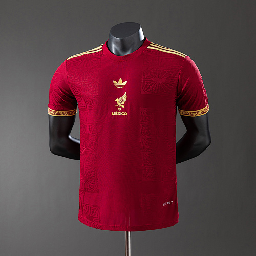 Mexico 25/26 Special Edition Red Player Version Jersey