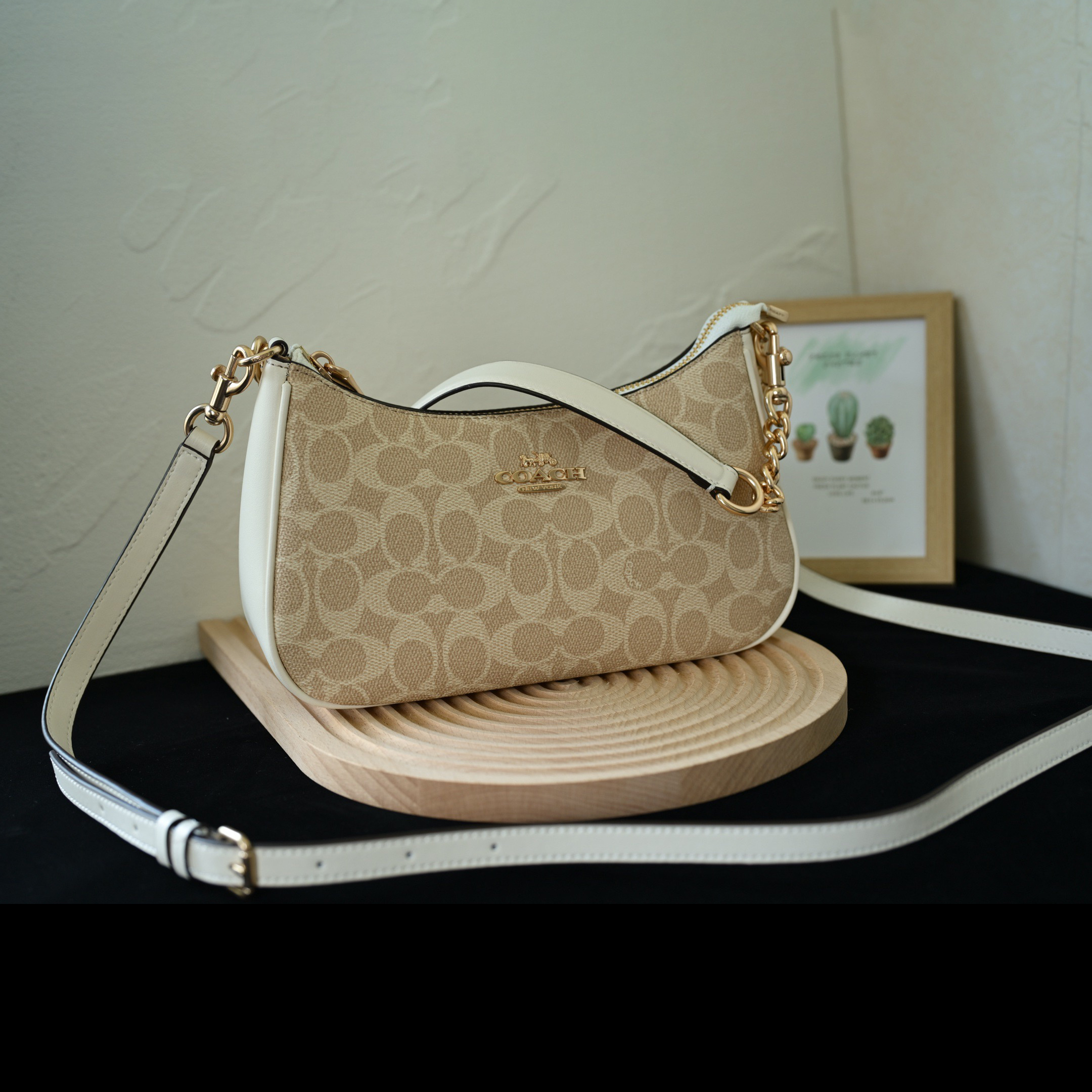 COACH Designer Bag Fashion Luxury Bag Medium Handbag Shoulder Bag Crossbody Purse Ladies Fashion Mini Bag High Quality Leather Zipper Armpit Bag New Shoulder Bag