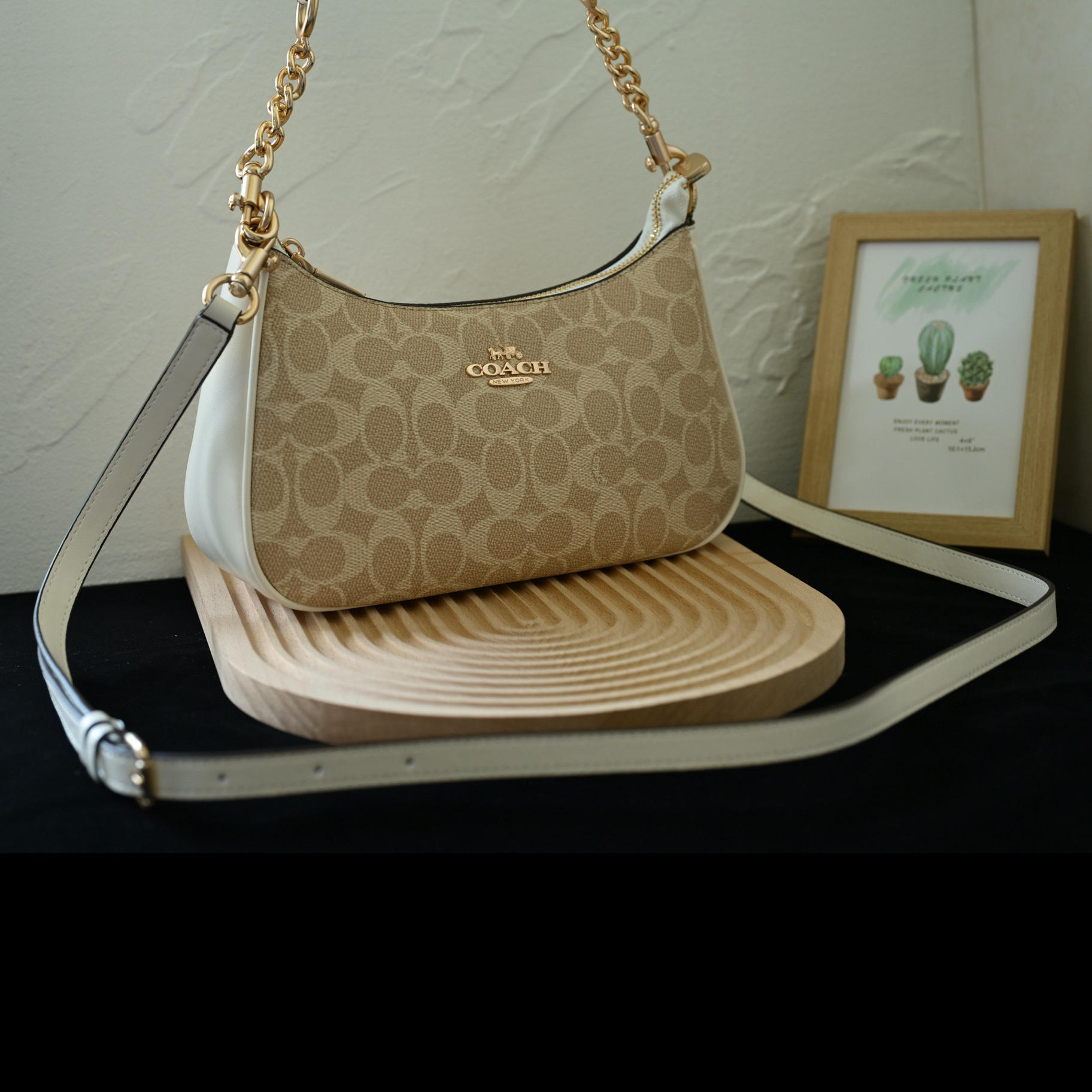 COACH Designer Bag Fashion Luxury Bag Medium Handbag Shoulder Bag Crossbody Purse Ladies Fashion Mini Bag High Quality Leather Zipper Armpit Bag New Shoulder Bag