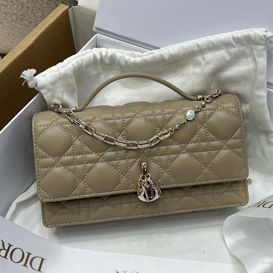 Dior Designer Bag Crossbody Bag Triomphes Bag Genuine Leather Women Shoulder Bag Top Quality Classic Teen Wallet Ladies Luxury Bag Underarm Saddle Bag
